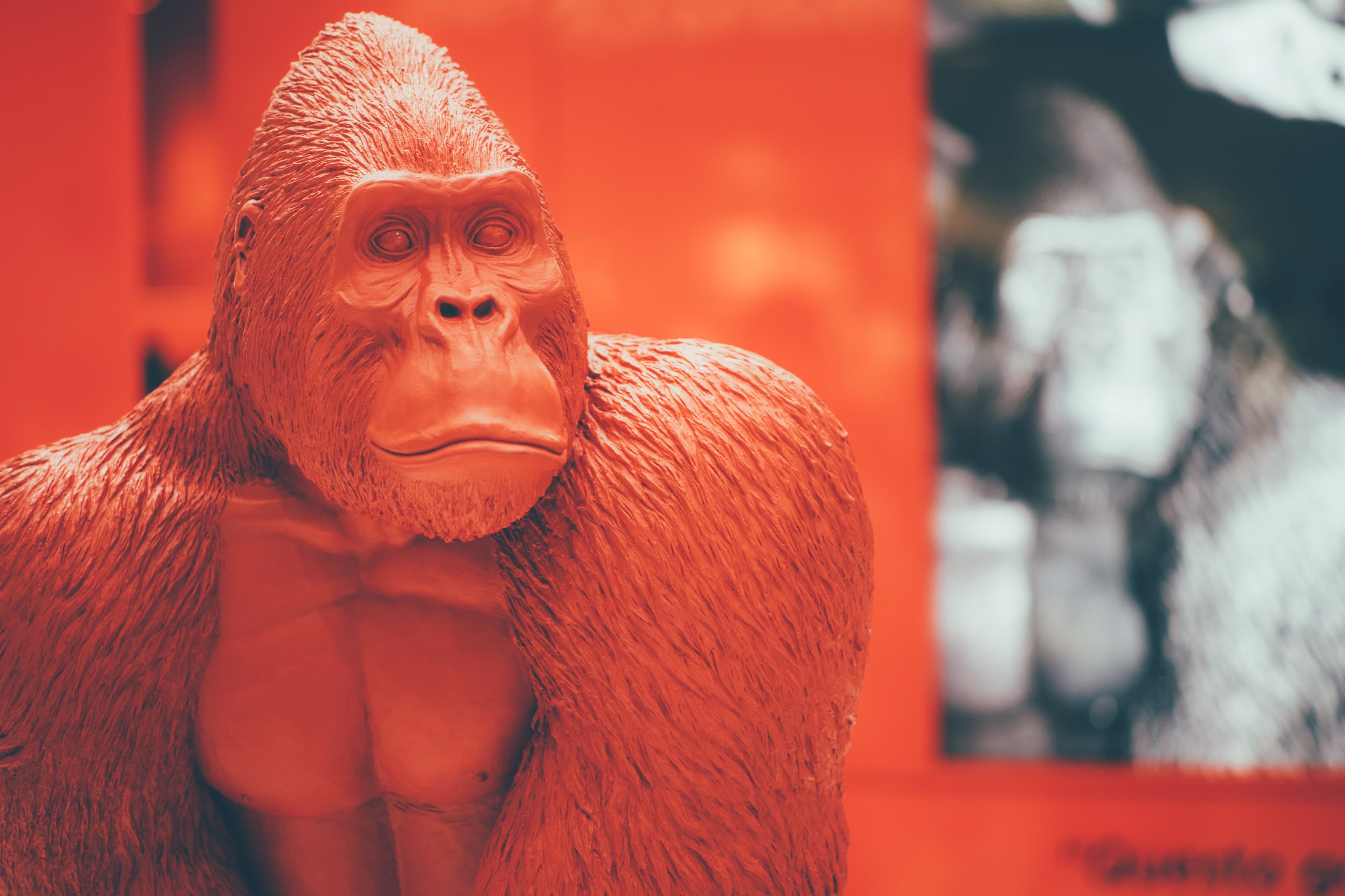 How NFT Mania Changed the Future of Investing cover image