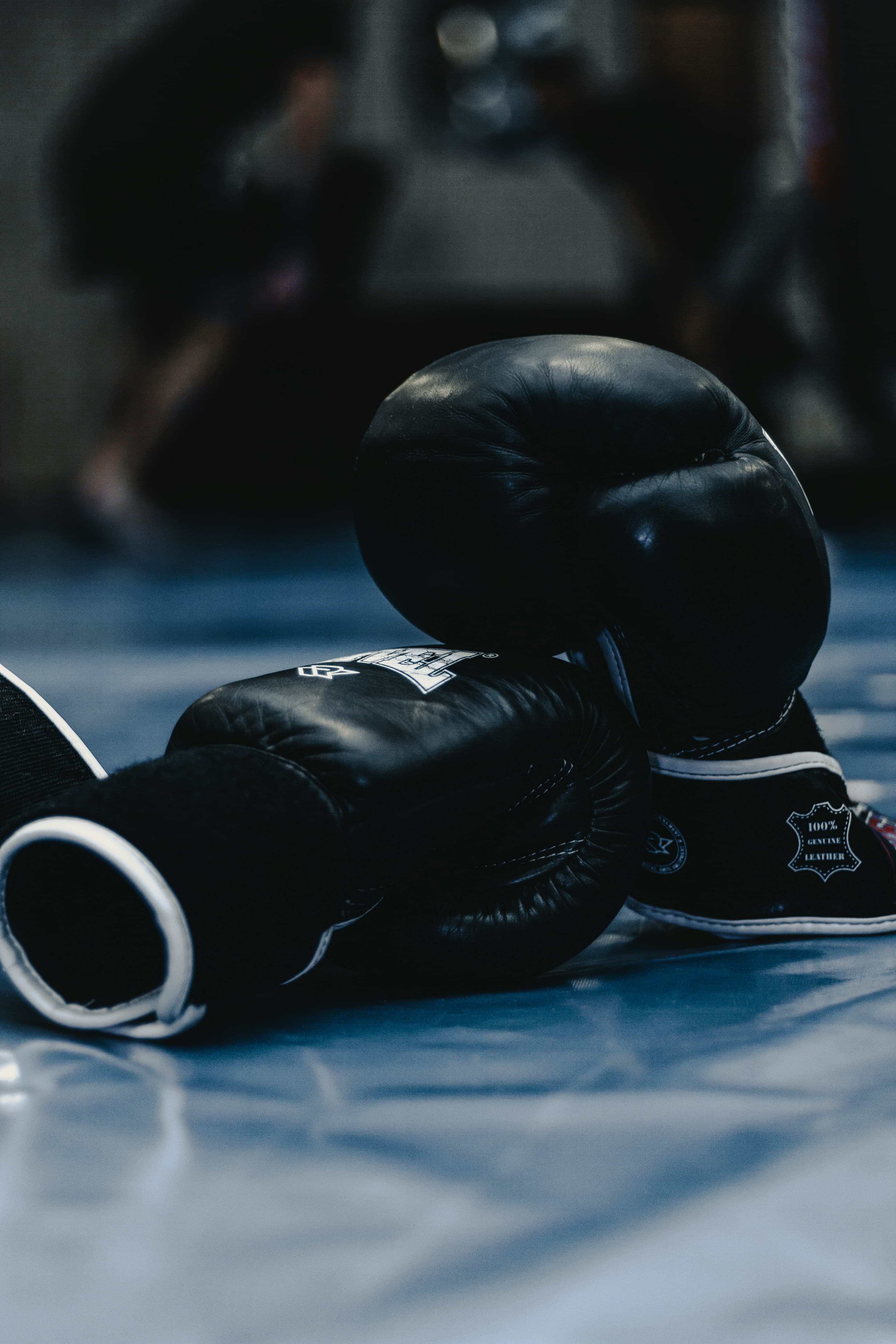 Boxing gloves on gym ring floor